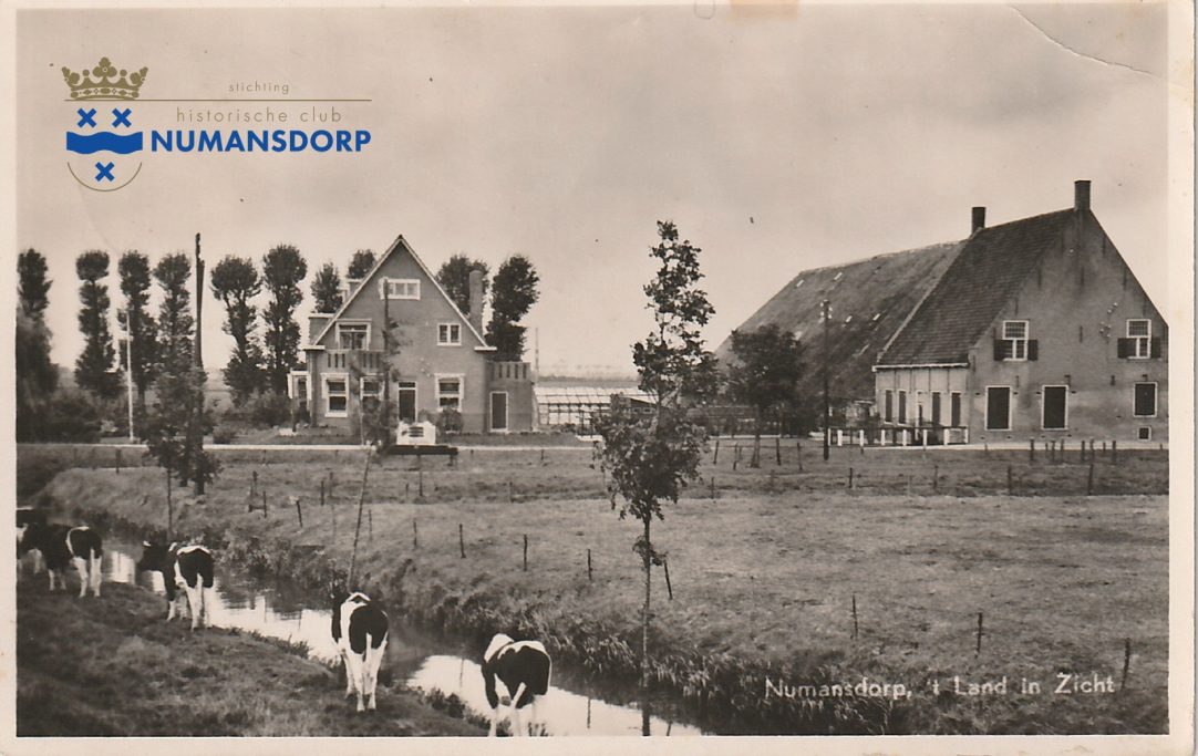 1955