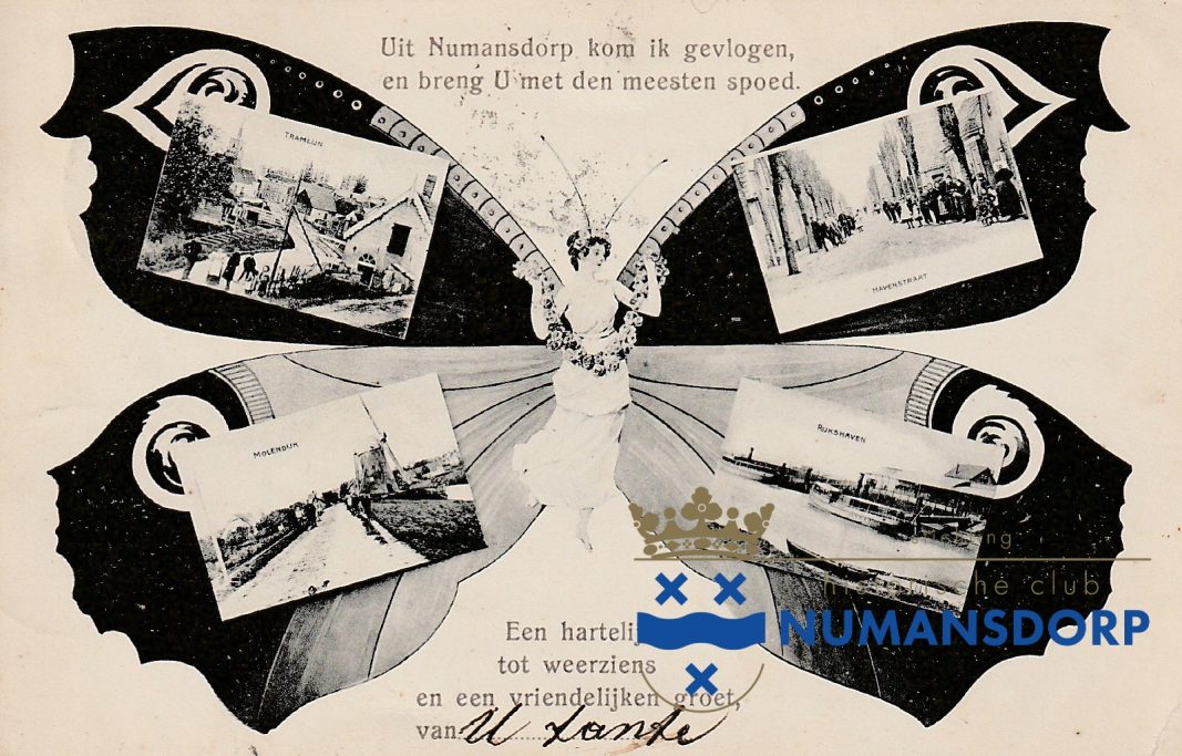 1906